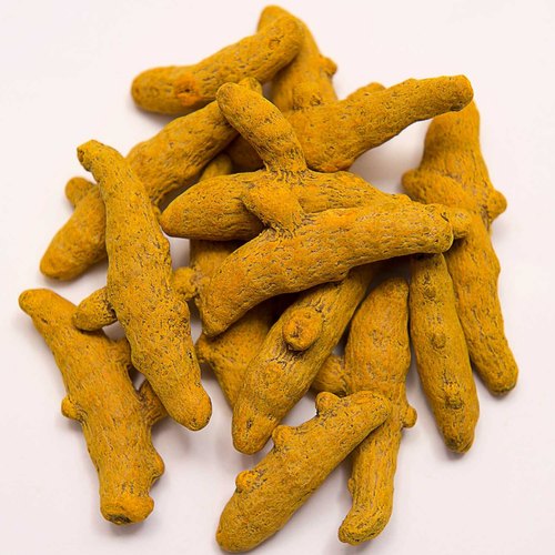 Turmeric Finger For Ayurvedic Products Cooking Cosmetic Products