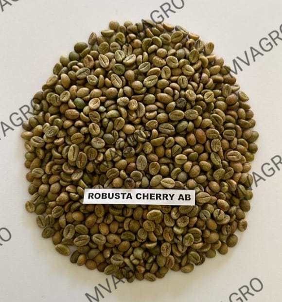 Robusta Cherry Ab Unwashed Screen Green Coffee Beans Mv Agro