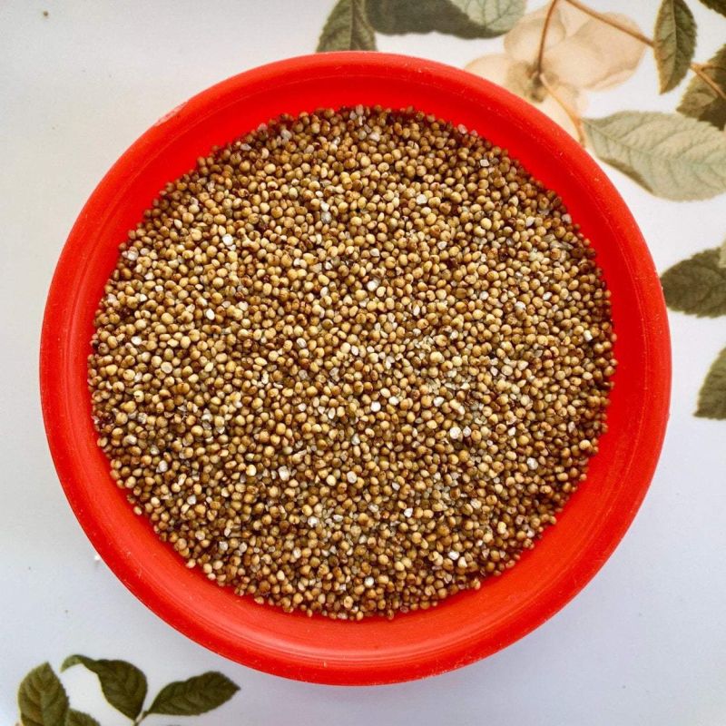 Brown Natural Kodo Millet Seed For Cooking Style Dried At Best