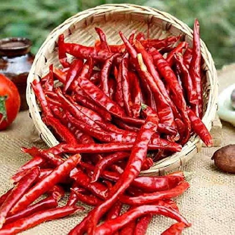 Teja Dry Whole Red Chilli For Spices Cooking Grade Standard Food