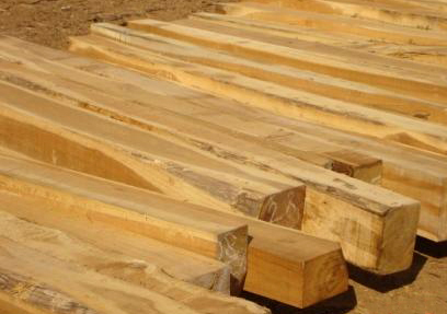 Buy Teak Wood from H K Timbers Pvt Ltd, Gandhidham, India 