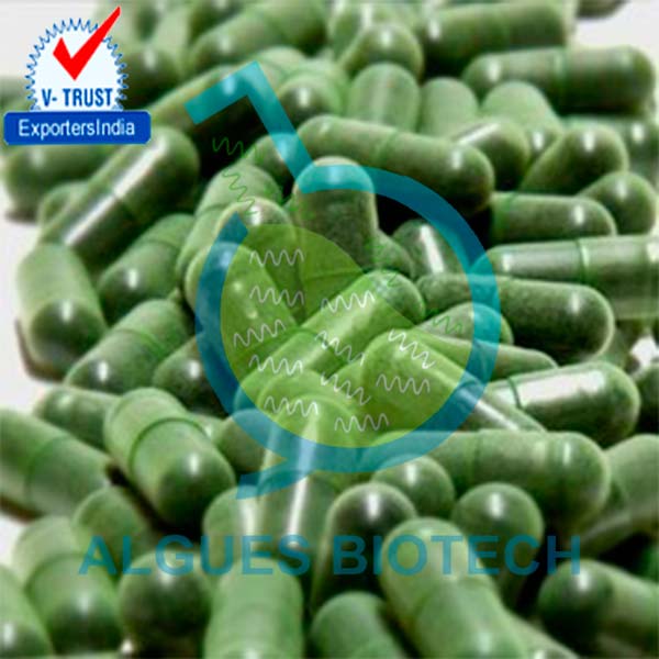 Algues Biotech Spirulina Capsules Packaging Type Box Form