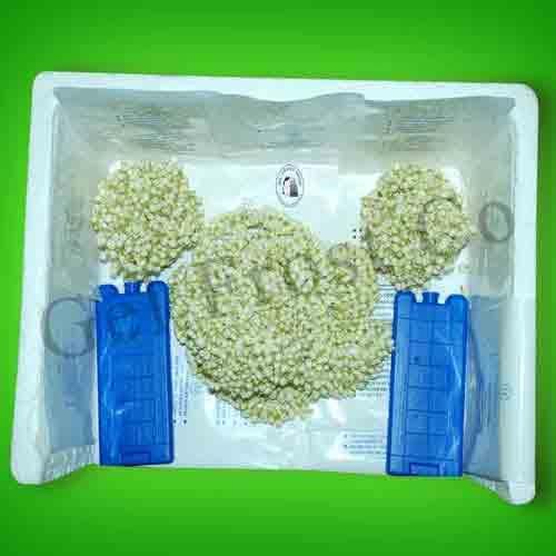 Jasmine Flower Ice Pack Manufacturer in Chennai Tamil Nadu India by Gel