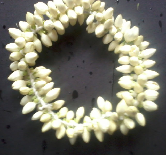 Fresh Jasmine Flowers Manufacturer in Chennai Tamil Nadu India by Vns Spark International