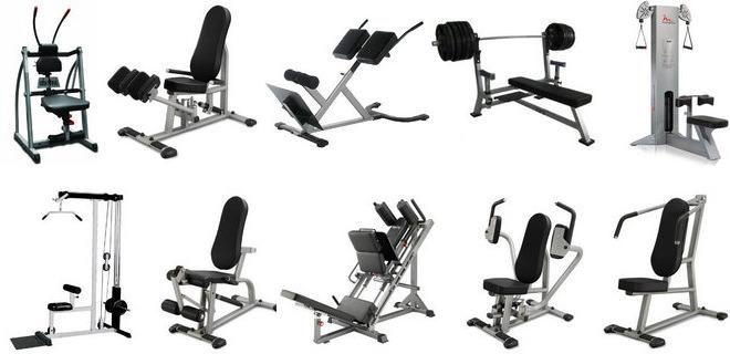 Buy Gym Equipment From Nhd Life Sciences India ID 1532637