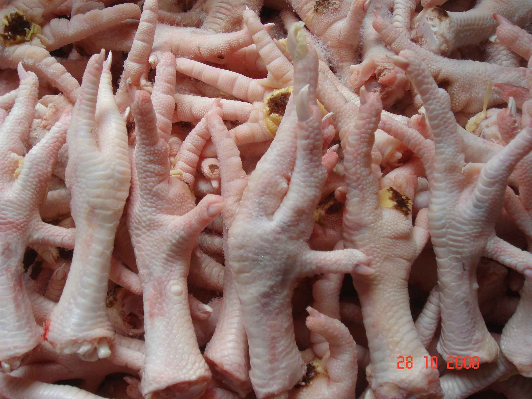 Products - Buy Processed Frozen Chicken Feet from GML GLOBAL TRADING