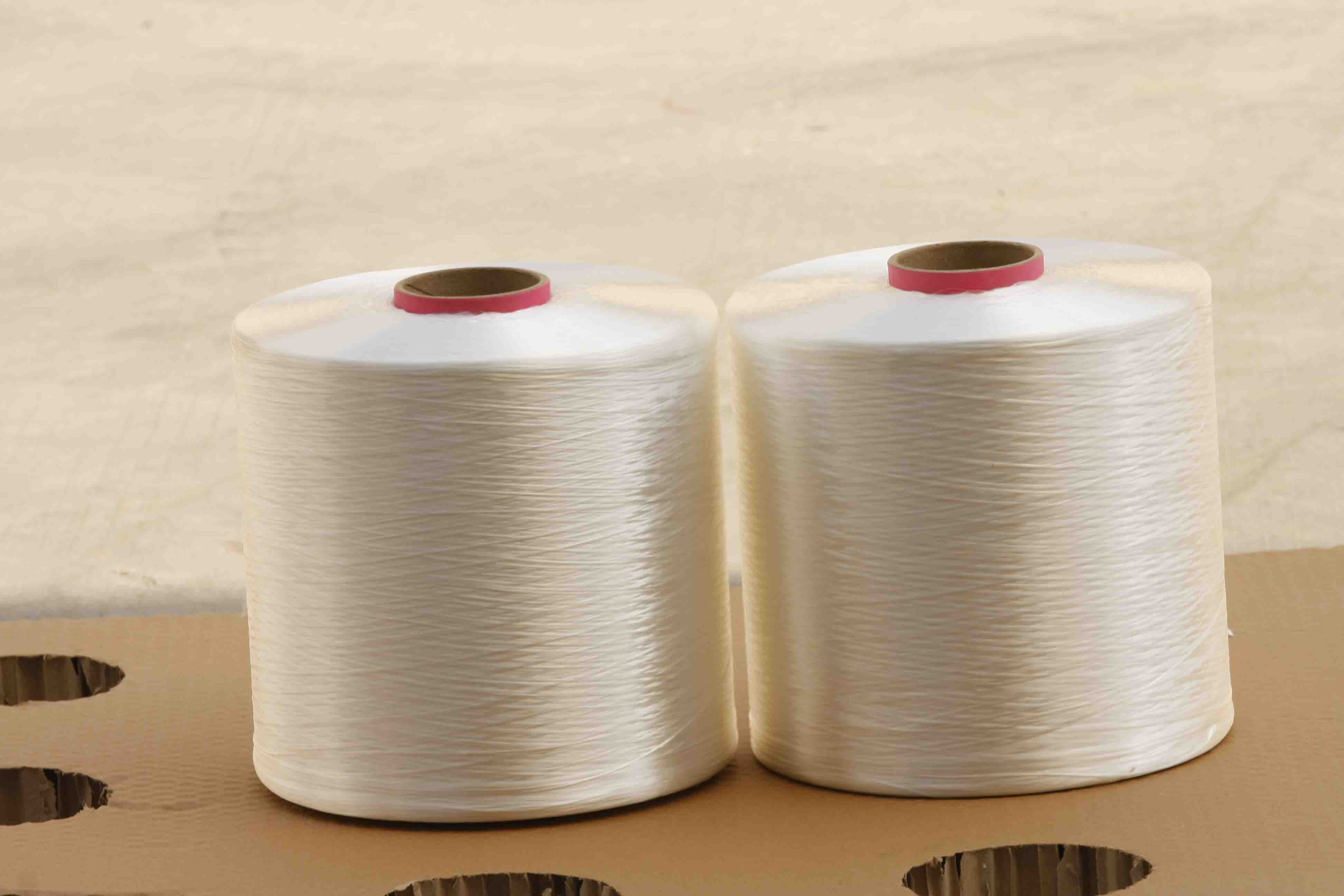 Home Products Nylon Yarn Products 73