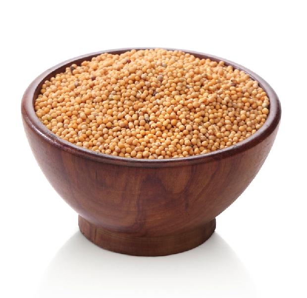 What Is The Difference Between Yellow And Black Mustard Seeds