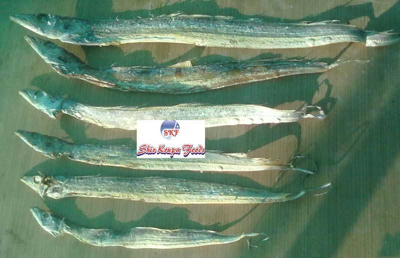 Products Buy Dry Ribbon Fish from Shiv Krupa Foods, Veraval, India