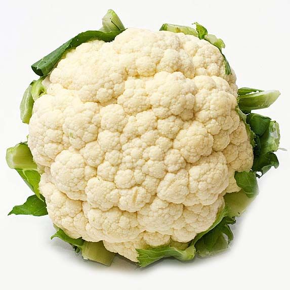 buy fresh cauliflower from s m s exports and imports buy fresh cauliflower from s m s exports and imports