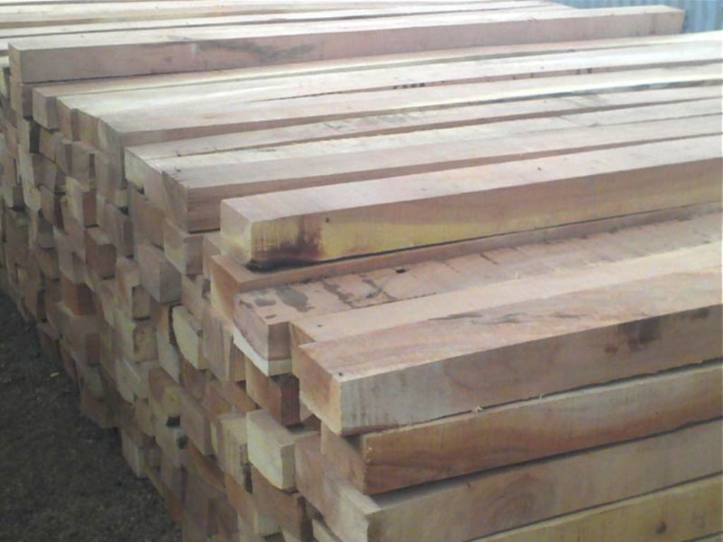 Products Buy Neem Wood from Shree Enterprise, Nadiad, India ID