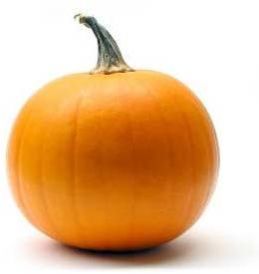 indian head pumpkin seeds manufacturer indian head pumpkin seeds manufacturer