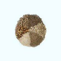 animal feed manufacturers in uae