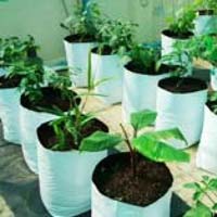 grow bags plant coir kerala pith