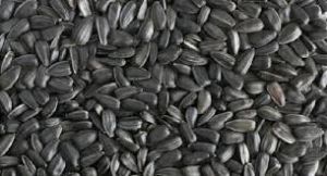 black pepper sunflower seeds ukrainian black pepper seeds black pepper seeds manufacturers and suppliers from ukraine black pepper sunflower seeds ukrainian black pepper seeds black pepper seeds manufacturers and suppliers from ukraine