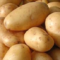 Bangladeshi Potato