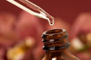 Herbal Extracts Manufacturers In Delhi