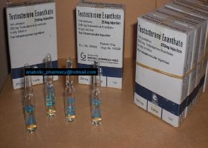 Anabolic Pharmacy. - Sustanon 250mg/ml Manufacturer Anabolic Pharmacy. - Sustanon 250mg/ml Manufacturer