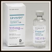 contraindications of lincomycin