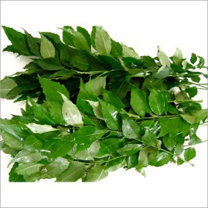 Tamilnadu Vegetables