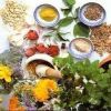 Ayurvedic Herbs in Dindigul
