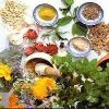 Ayurvedic Herbs in Lucknow