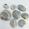 Painted Sea Shells