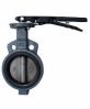 Cast Iron Butterfly Valves in Delhi