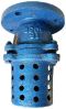 Cast Iron Foot Valve in Ahmedabad