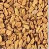 Brinjal Seeds in Prayagraj