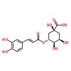 Chlorogenic Acid