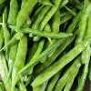 Cluster Beans in Ludhiana