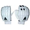 Cricket Gloves in Gurugram