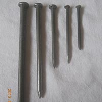 Common Wire Nail