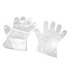 Disposable Plastic Gloves