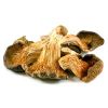 Dry Oyster Mushroom in Patna