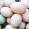 Duck Eggs in Hyderabad