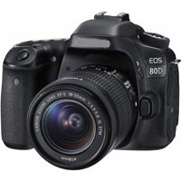 Wholesale Nikon D7500 20.9MP Digital SLR Camera Supplier from Chennai India