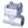 Forged Check Valve in Aurangabad