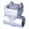 Forged Check Valve in Rajkot