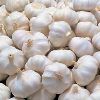 Fresh Garlic in Kannur
