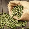 Green Coffee Beans in Chikkamagaluru