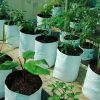 Grow Bags in Pune