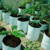 Grow Bags in Coimbatore