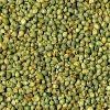 Green Millets in Kutch