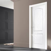 Moulded Skin Doors