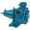 Regenerative Turbine Pumps