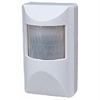 Motion Detector Camera