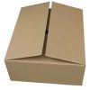 Laminated Corrugated Boxes in Hyderabad