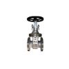 Stainless Steel Gate Valve